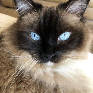 Meet your Posher, Amy